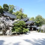 Kyoto: Zen & Culture Photo Walk with Tea - Who Will Love This Tour?