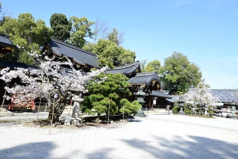Kyoto: Zen & Culture Photo Walk with Tea - Who Will Love This Tour?