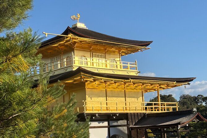 Kyoto&Nara Day Tour | English Guide & Private Vehicle - The Itinerary Breakdown: What to Expect