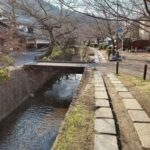 Kyoto:Philosophers Path Seasonal Walk - What You Can Expect From the Tour