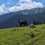 Kyrgyzstan: Pearl of the Heavenly Mountains - Accommodation and Meals