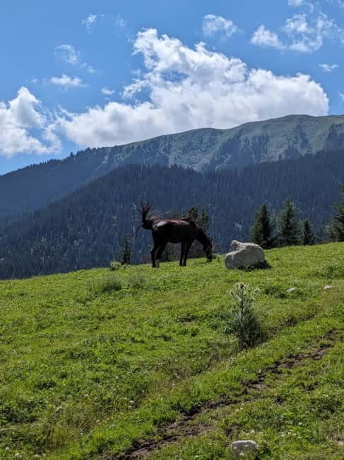 Kyrgyzstan: Pearl of the Heavenly Mountains - Accommodation and Meals
