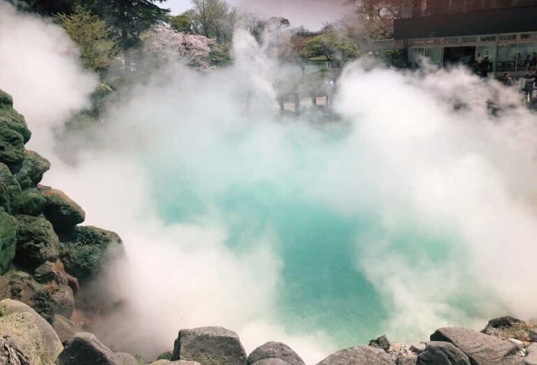 Kyushu Natural Adventure Day Tour: Zoo, Onsen & Hellscape - A Closer Look at the Kyushu Natural Adventure Day Tour