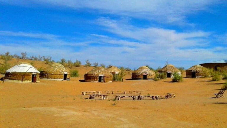 Kyzylkum Desert tour from Samarkand (1Night 2 Days) - Evaluating the Value and Experience