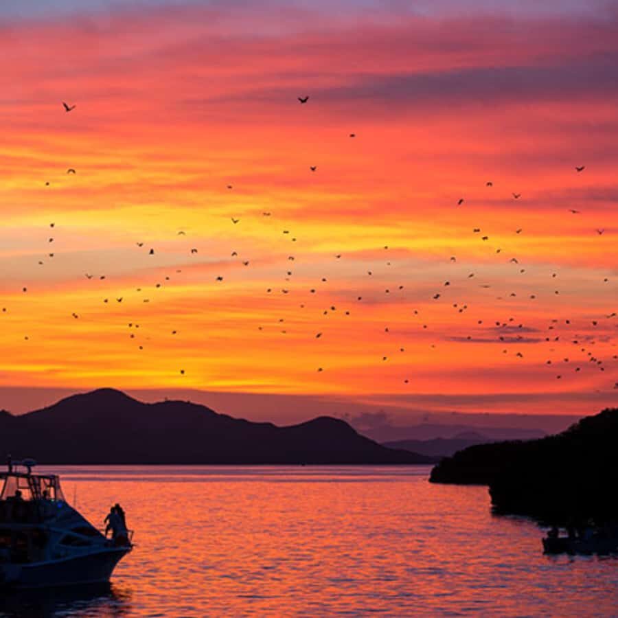 Labuan Bajo Explore 3 Destination (Kelor, Manjarite, Kalong) - Detailed Breakdown of the Itinerary