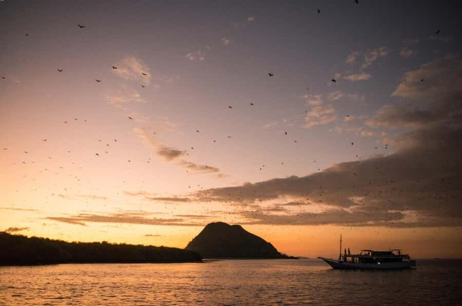 Labuan Bajo: Sunset Tour by Speedboat - What to Expect from the Experience