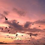 Labuan Bajo Sunset Trip  Explore 3 Destinations - An In-Depth Look at the Labuan Bajo Sunset Trip