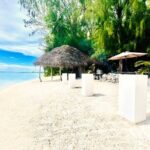 Lagoon Tour + lunch with your feet in the water on a Motu - Who Will Love This Tour?