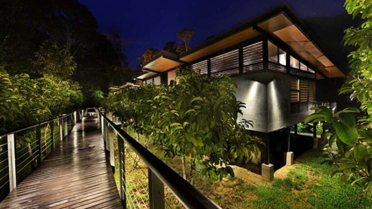 Lahad Datu: 3-Day Danum Valley Rainforest Adventure - The Value of This Tour