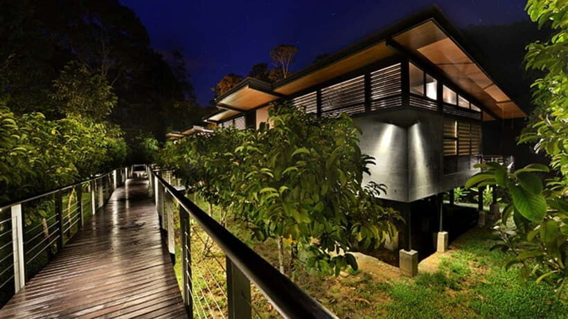 Lahad Datu: 3-Day Danum Valley Rainforest Adventure - The Value of This Tour