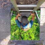 Lahad Datu: Danum Valley 3-Day Jungle Adventure with Guide - What You Can Expect from the Itinerary