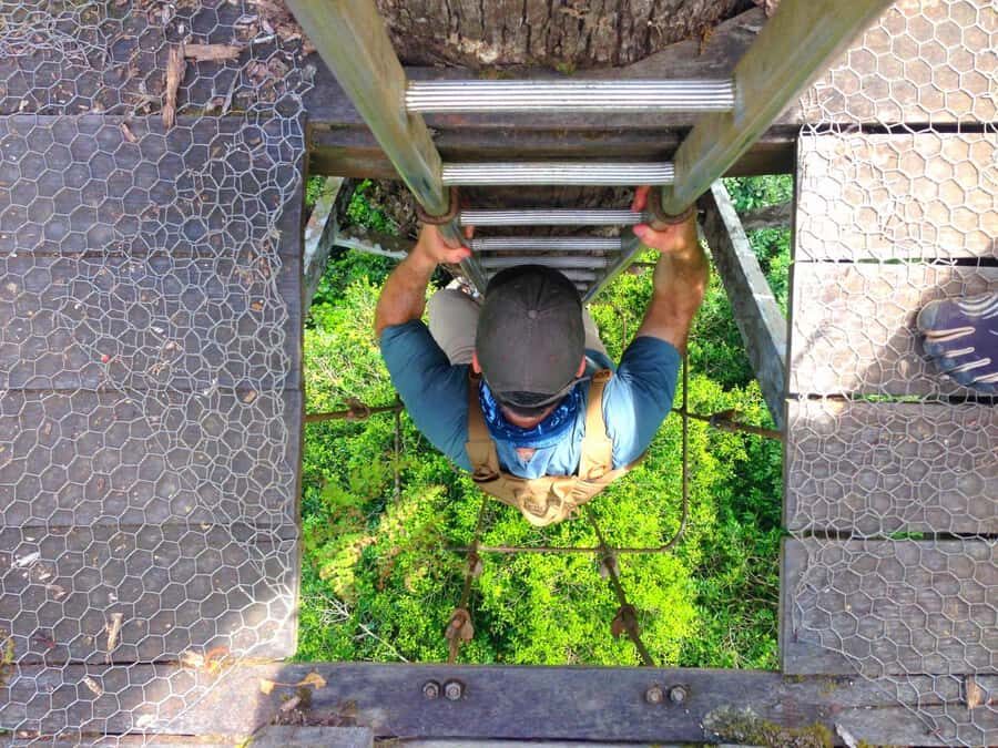 Lahad Datu: Danum Valley 3-Day Jungle Adventure with Guide - What You Can Expect from the Itinerary