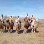 Lake Aydarkul: Kyzylkum Desert with Camel Ride & Taste Milk - Why Choose This Tour?