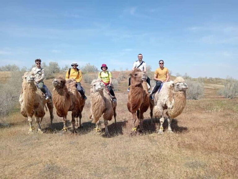 Lake Aydarkul: Kyzylkum Desert with Camel Ride & Taste Milk - Why Choose This Tour?
