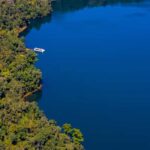 Lake Barrine Boat Cruise  Discover Queenslands Hidden Gem - The Itinerary in Detail