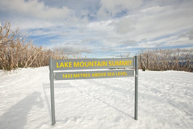 Lake Mountain Snow play and Steavenson Falls from Melburne - What Travelers Are Saying