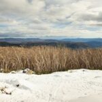 Lake Mountain Snow Tour - Who Should Consider This Tour?