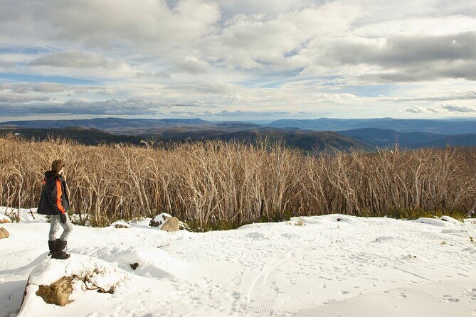 Lake Mountain Snow Tour - Who Should Consider This Tour?