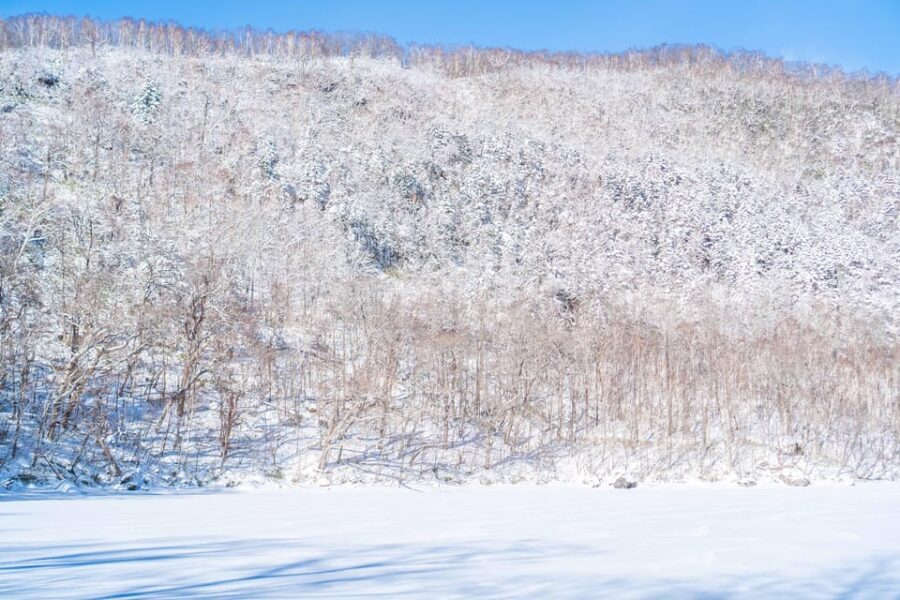 Lake Tachibana: Snowshoe to a frozen lake! - Practical Details and What to Prepare