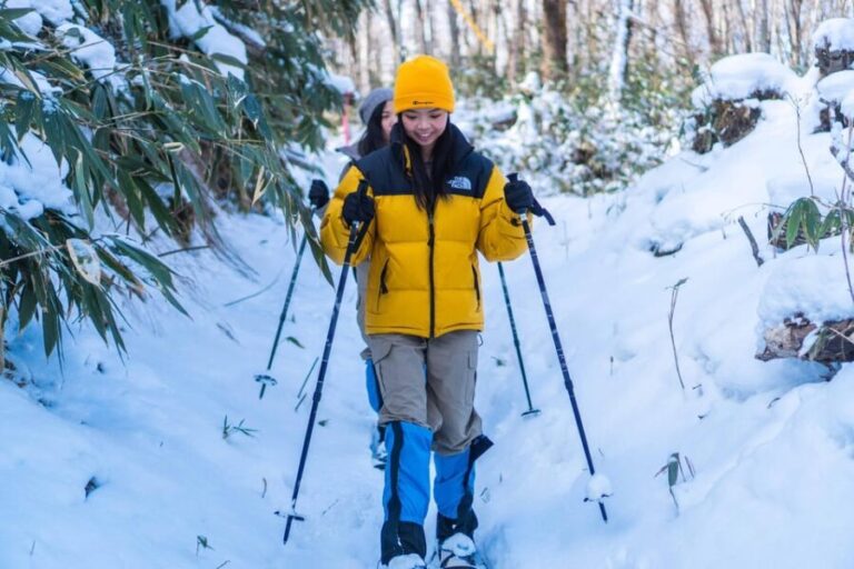 Lake Tachibana: Snowshoe to a frozen lake! - Why This Tour Offers Great Value