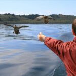 Lake Taupo: 1.5-Hour Mori Rock Carvings Cruise - Who Should Take This Tour?