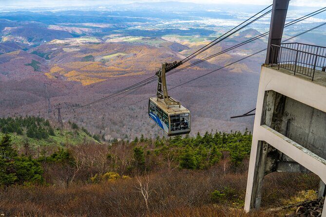 Lake Towada Cruise and Oirase Gorge Drive with Hakkoda Ropeway - Who Should Consider This Tour?