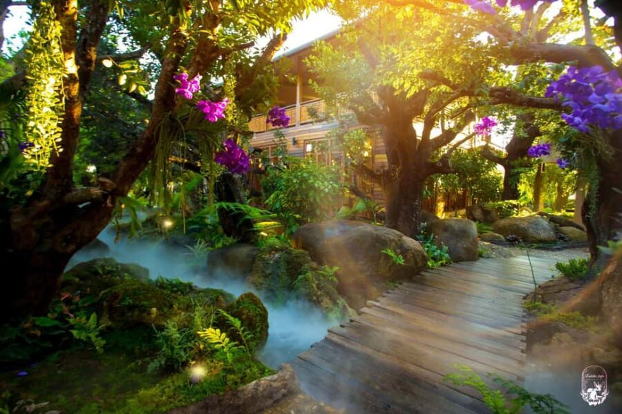 Lalita Cafe & Chiang Rai Temple(White+Blue) from Chiangmai - What You Can Expect from the Tour Experience