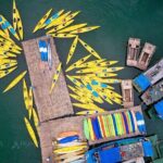 Lan Ha Bay Full Day Boat Tour from Hanoi/ Cat Ba - Why This Tour Stands Out