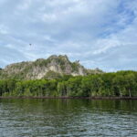 Langkawi: Half-Day Private Kilim River Mangrove Boat Tour - Who Would Love This Tour?