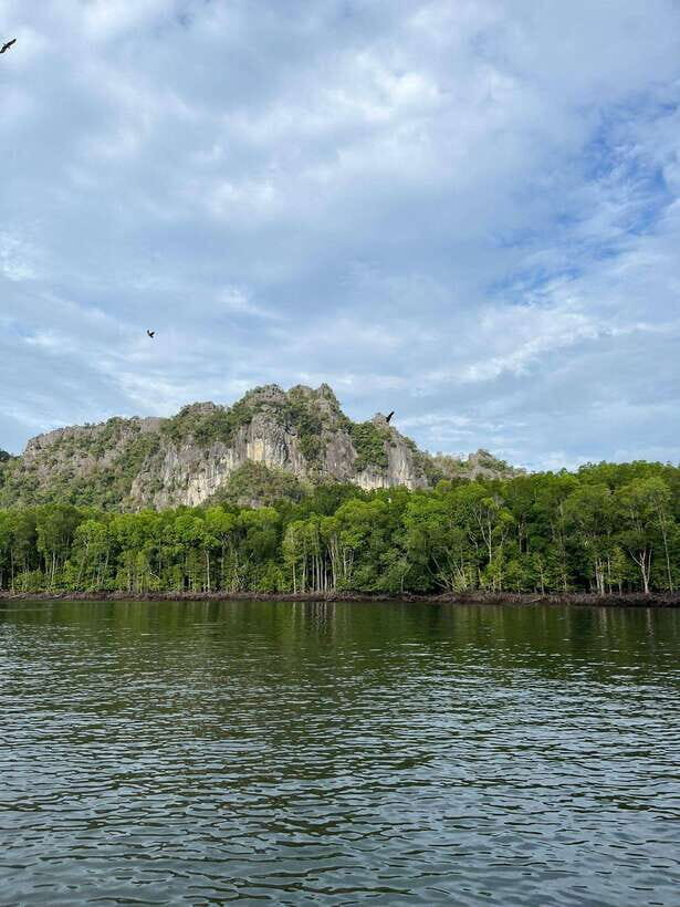 Langkawi: Half-Day Private Kilim River Mangrove Boat Tour - Who Would Love This Tour?