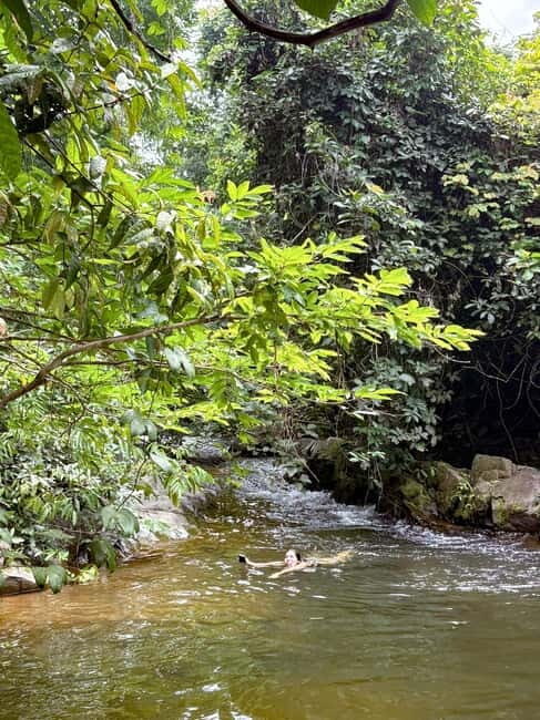 Langkawi Jungle Trekking & Live Cooking Adventure - Why This Tour Offers Great Value