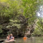Langkawi: Kilim Karst Mangrove Kayak Adventure - What to Expect from the Langkawi Kilim Karst Mangrove Kayak Adventure