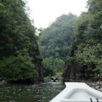 Langkawi Mangrove and Bat Cave Tour - Final Thoughts