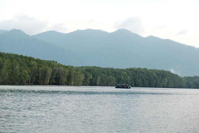 Langkawi Mangrove and Bat Cave Tour - Practical Details and Tips