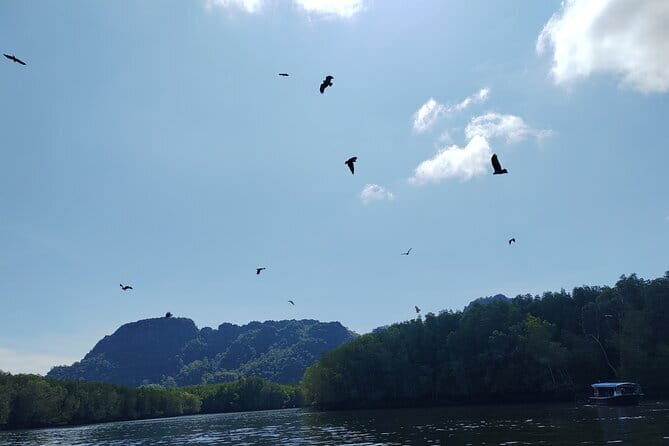 Langkawi Mangrove Boat Tour at Kilim Geoforest Park - Visiting the Bat Cave (Gua Kelawar)