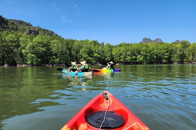 Langkawi Mangrove Kayak Tour by Sham - Who Should Consider This Tour?