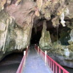 Langkawi Mangrove Monkey Package - A Closer Look at the Itinerary