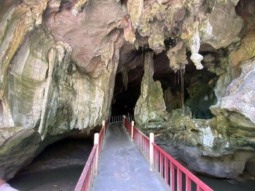 Langkawi Mangrove Monkey Package - A Closer Look at the Itinerary