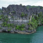 Langkawi: Mangrove River Cruise Sharing 3 Hours - How is the Tour Managed?