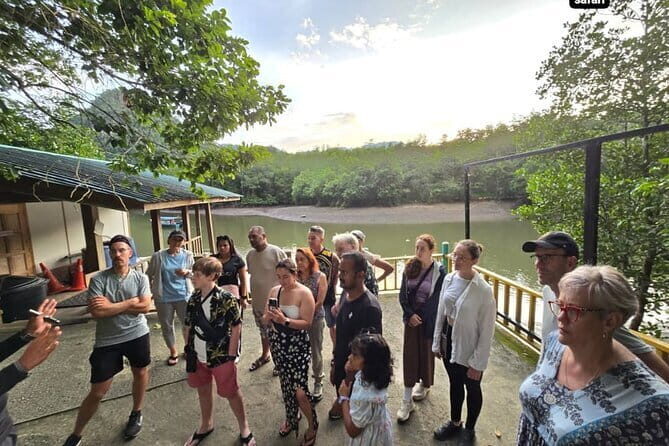 Langkawi Sightseeing Tour Including Cable Car And Sky Bridge - Who Should Consider This Tour?