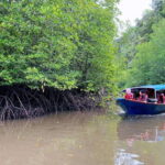 Langkawi Signature Mangrove Discovery Boat Tour (Shared) - Why This Tour Offers Great Value