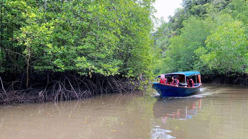Langkawi Signature Mangrove Discovery Boat Tour (Shared) - Why This Tour Offers Great Value
