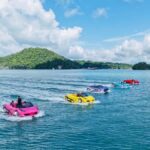Langkawi: Tuba Mangrove Jet Car Tour with Beach Stop - What to Expect on the Tour