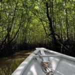 Langkawi: UNESCO Global Geopark Mangrove Cruise - Why This Tour Offers Good Value
