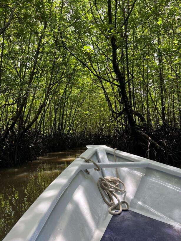 Langkawi: UNESCO Global Geopark Mangrove Cruise - Why This Tour Offers Good Value