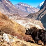 Langtang Highlands Trek via Tserko Ri & Sherpagaon - The Itinerary: A Closer Look