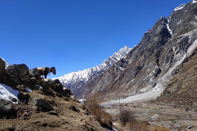 Langtang Valley trek - Who Should Consider This Trek?