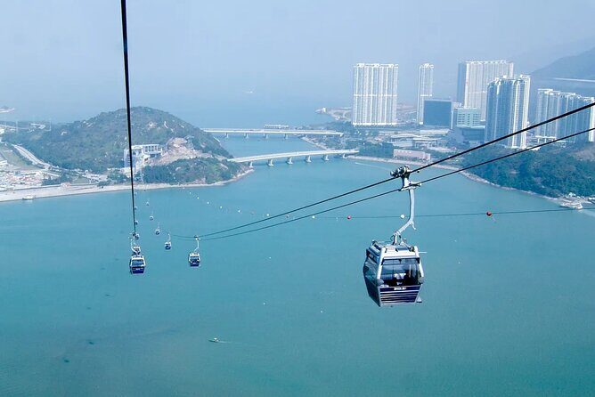 Lantau Island Day Trip | Big Buddha, Dolphin Watching & Cable Car - Final Thoughts
