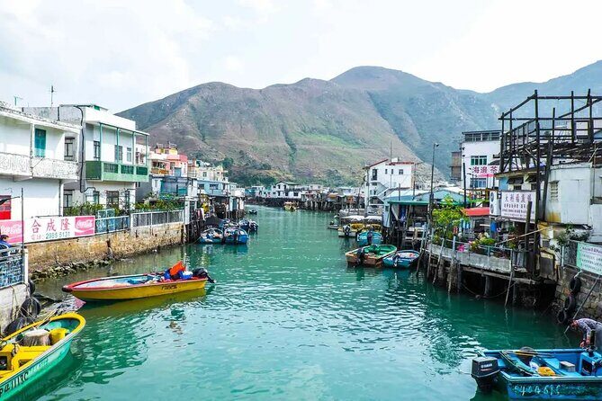 Lantau Island Day Trip | Big Buddha, Dolphin Watching & Cable Car - Evaluating the Value