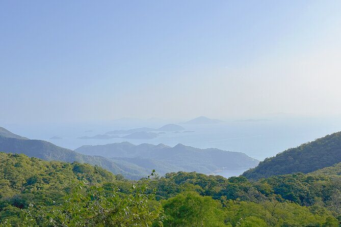 Lantau Island Highlights and Attractions - Exploring the Itinerary: What to Expect